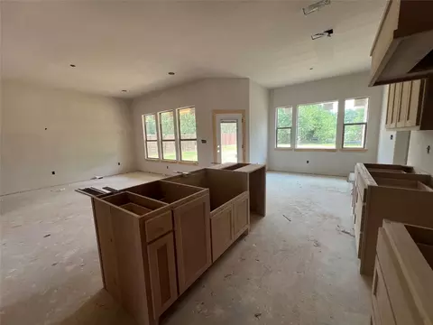 196 Lakeview Cir, Pilot Point, TX 76258 photo 3