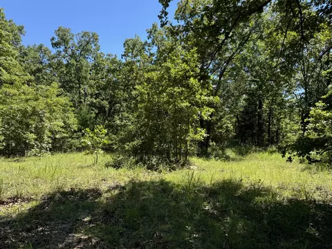 tbd Centerwood, Blossom, TX 75416