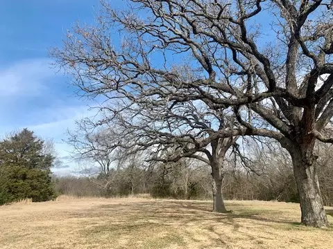tbd Fm 1753, Savoy, TX 75479