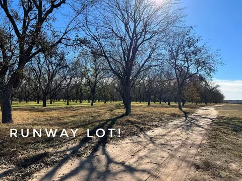 913 E Landings Dr, Granbury, TX 76049
