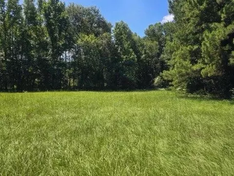 1245 Cr 2332, Mineola, TX 75773