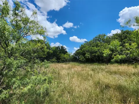 tbd Cr 183, Carbon, TX 76435