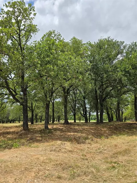 1895 Sunflower Rd #LOT 2, Bridgeport, TX 76073