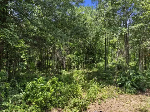 403 N Willis St, Daingerfield, TX 75638