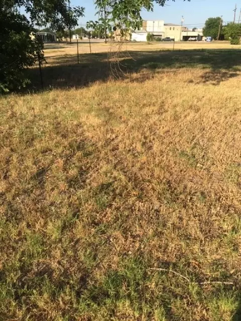 tbd W Denton St, Palmer, TX 75152