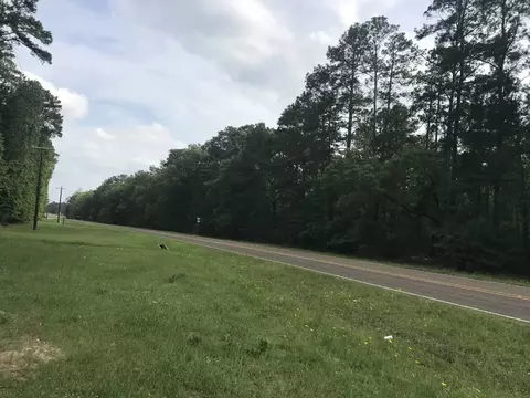 Tbd Highway 705 Tract 3, Broaddus, TX 75929
