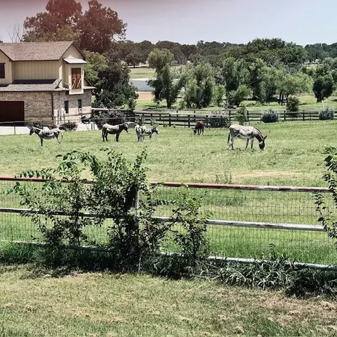 7133 Hawk Rd, Flower Mound, TX 75022