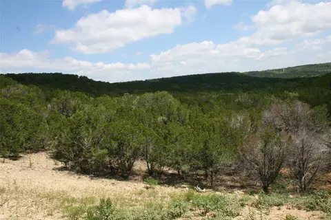464 Upper Brad Rd, Strawn, TX 76475 photo 10