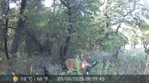 524 County Road 1792, Sunset, TX 76270