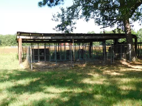 606 Spring Branch Rd, Springhill, LA 71075 photo 9
