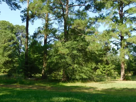 606 Spring Branch Rd, Springhill, LA 71075 photo 20