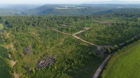 40 Acres Ross Mountain Rd, Lamar, AR 72846