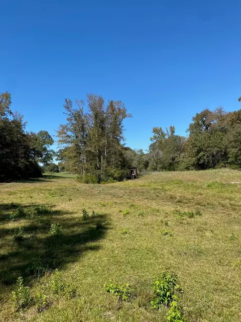 Tbd 002 County Road 242, Oakwood, TX 75855