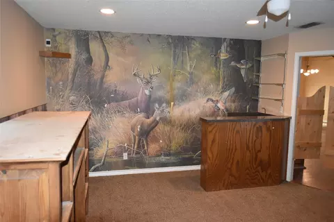 1374 Hoff Rd, Windthorst, TX 76389 photo 28