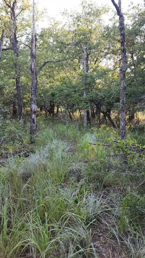 Tbd Deer Run, Sunset, TX 76270 photo 6