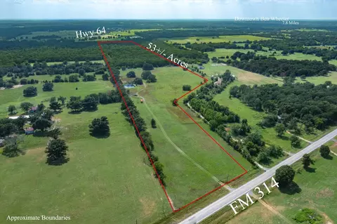 6610 Fm 314, Ben Wheeler, TX 75754