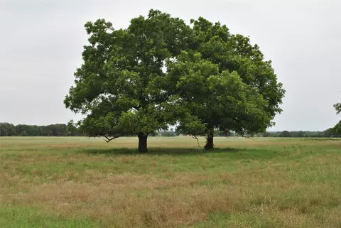 Tbd County Road 129, Rising Star, TX 76471