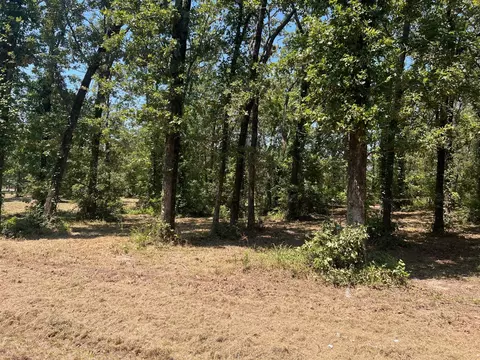 00000 Joyce St, Eustace, TX 75124 photo 8