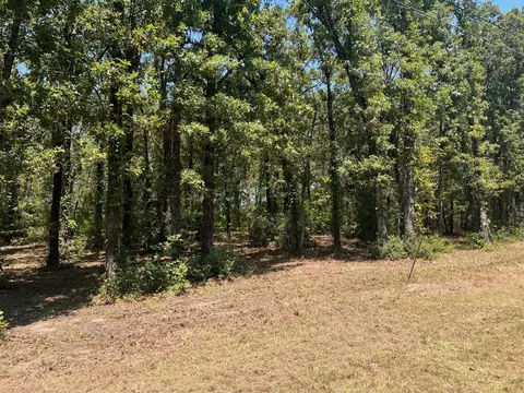 00000 Joyce St, Eustace, TX 75124 photo 9