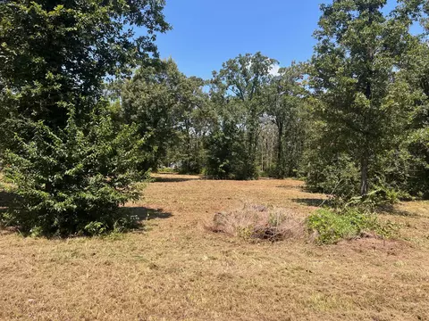00000 Joyce St, Eustace, TX 75124 photo 12