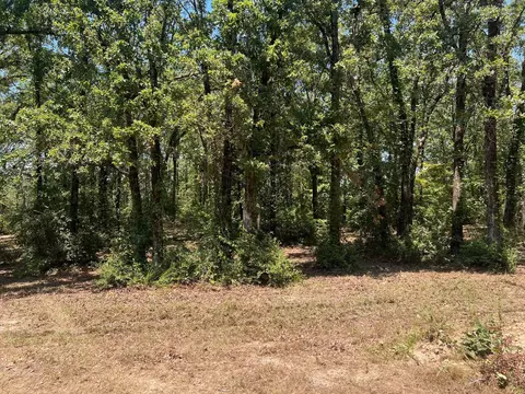 00000 Joyce St, Eustace, TX 75124 photo 6