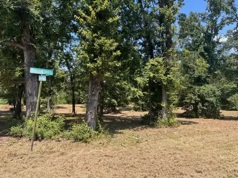 00000 Joyce St, Eustace, TX 75124 photo 13