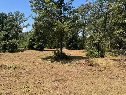 00000 Joyce St, Eustace, TX 75124 photo 3