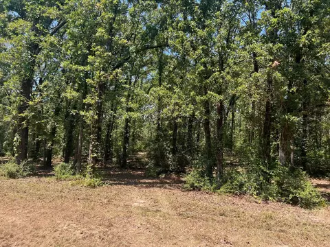 00000 Joyce St, Eustace, TX 75124 photo 7