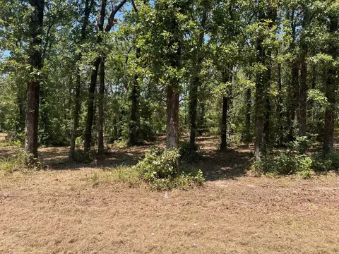 00000 Joyce St, Eustace, TX 75124 photo 10