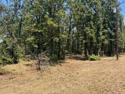 00000 Joyce St, Eustace, TX 75124 photo 11