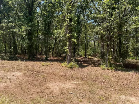 00000 Joyce St, Eustace, TX 75124 photo 4