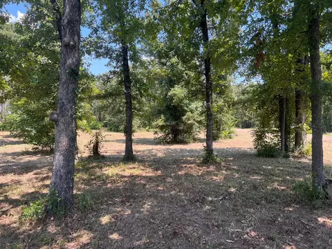 00000 Joyce St, Eustace, TX 75124 photo 14