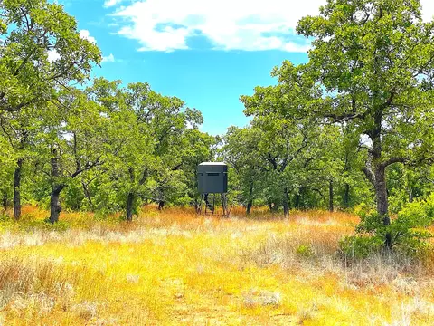 720 Eason Rd, Jacksboro, TX 76458
