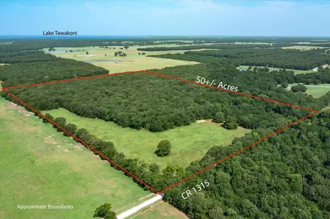 tbd Cr 1315, Emory, TX 75440