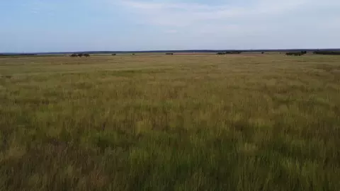 tbd County Road 184 #1, Ovalo, TX 79541