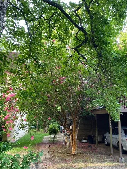 300 Saint Francis St, Marshall, TX 75670
