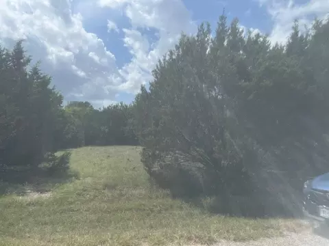 14048 Sandy Oaks Dr, Whitney, TX 76692