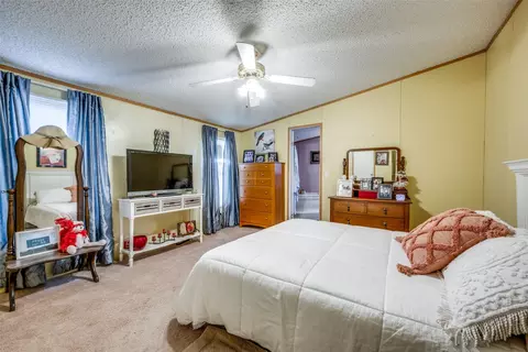 1007 Spring Flower Dr, Krum, TX 76249 photo 17