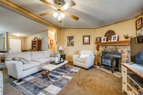 1007 Spring Flower Dr, Krum, TX 76249 photo 9