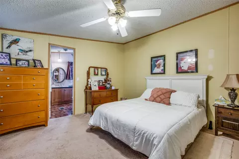 1007 Spring Flower Dr, Krum, TX 76249 photo 18