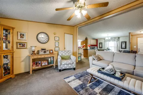 1007 Spring Flower Dr, Krum, TX 76249 photo 10