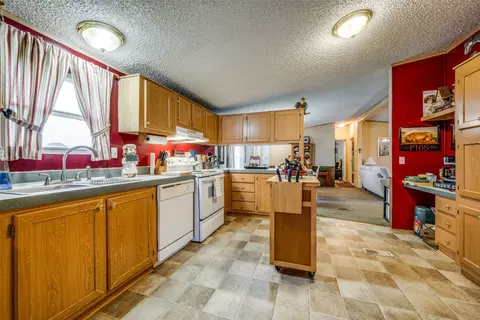 1007 Spring Flower Dr, Krum, TX 76249 photo 13