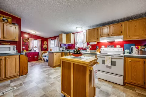 1007 Spring Flower Dr, Krum, TX 76249 photo 14
