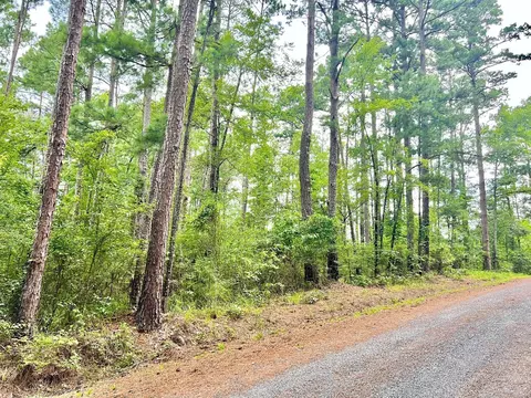 0 Claiborne, Ringgold, LA 71068 photo 2
