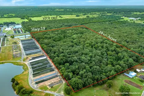 tbd Tx 19, Edgewood, TX 75117
