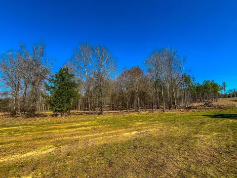 Tract 2 County Road 1713, Jacksonville, TX 75766
