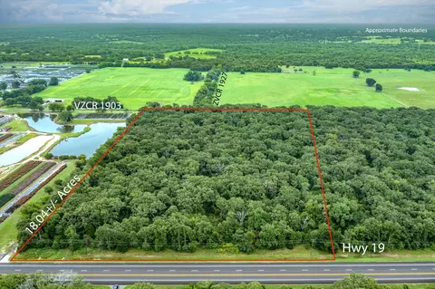 tbd Sh 19, Edgewood, TX 75117