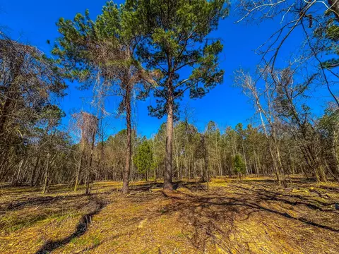 Tract 4 County Road 1713, Jacksonville, TX 75766