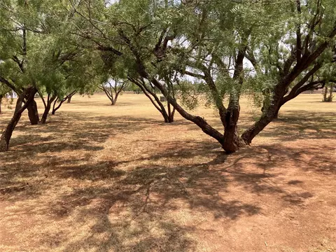 lot29 Country Club Dr, Merkel, TX 79536