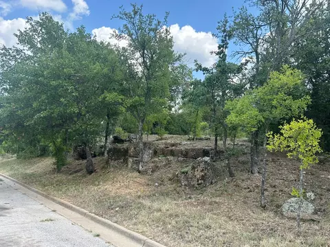 1406 Willow Wood Ct, Graham, TX 76450